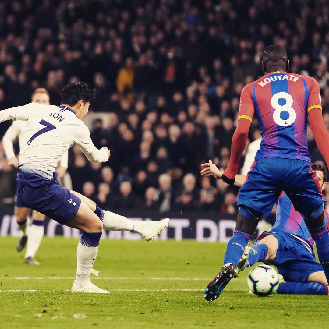 观赏性与复 观赏性与复